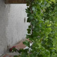 Гостиница Guest House on Gorkogo street 51 в Анапе отзывы, цены и фото номеров - забронировать гостиницу Guest House on Gorkogo street 51 онлайн Анапа фото 3