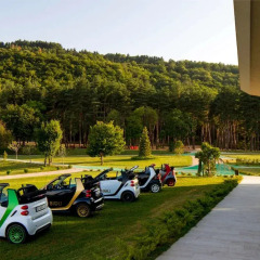 Отель Bioli Medical Wellness Resort Грузия, Тбилиси - отзывы, цены и фото номеров - забронировать отель Bioli Medical Wellness Resort онлайн помещение для мероприятий