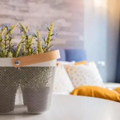 Отель D&C ApartHotels удобства в номере фото 2