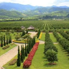 Отель Khun Mai Baan Suan Resort фото 4