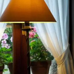 Отель Posada Las Espedillas гостиничный бар