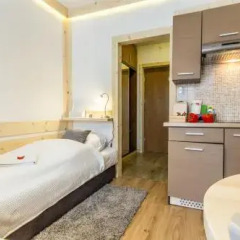 Отель Apartamenty Gronik Zakopane Косцелиско комната для гостей фото 4