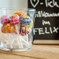 Отель FELIX Suiten im Lebendigen Haus am Augustusplatz с домашними животными