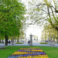 Отель Focuswawa Królewska Польша, Варшава - отзывы, цены и фото номеров - забронировать отель Focuswawa Królewska онлайн помещение для мероприятий