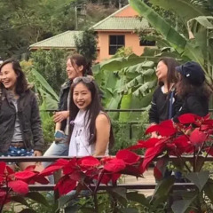 Отель Pong Yang Farm and Resort