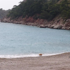 Отель Sea Valley Bungalows пляж