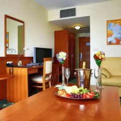 PRIMAVERA Hotel & Congress centre Пльзень в номере