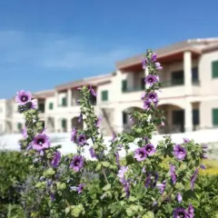 Отель Cabo de Banos