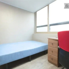 Greenyard Hostel детские мероприятия фото 2
