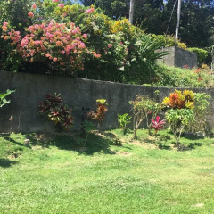 Отель Teresinajamaica Монастырь фото 7