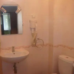 Отель Family Hotel Tipik Болгария, Банско - отзывы, цены и фото номеров - забронировать отель Family Hotel Tipik онлайн ванная