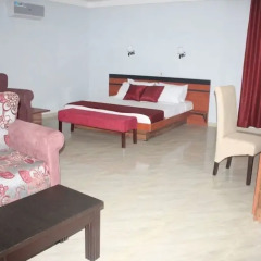 Отель Dannic Hotels Enugu комната для гостей фото 3