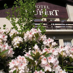 Отель Hubert Чехия, Франтишкови-Лазне - отзывы, цены и фото номеров - забронировать отель Hubert онлайн помещение для мероприятий