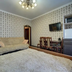 Elizaveta Mini Hotel комната для гостей фото 3