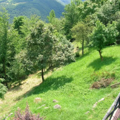 Отель B&B Il Suono del Bosco Италия, Лимена - отзывы, цены и фото номеров - забронировать отель B&B Il Suono del Bosco онлайн фото 2
