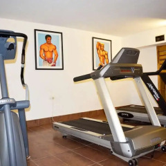 Roots Apartment Hotel фитнесс-зал фото 2