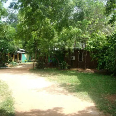 Budget Hotel Habarana фото 3