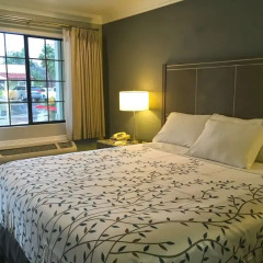 Отель Americas Best Value Inn - Milpitas комната для гостей фото 3
