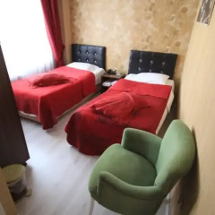 Safran Hotel Турция, Стамбул - отзывы, цены и фото номеров - забронировать отель Safran Hotel онлайн с домашними животными