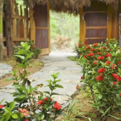 Отель An Bang Sunrise Beach Bungalow фото 5