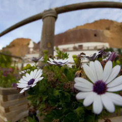 Отель Cuevas Blancas