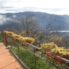 Отель B&B Il Chioso Аулла фото 2