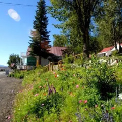 Отель Tioga Lodge Ли Вайнинг фото 10