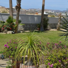 Отель Casa De Las Flores