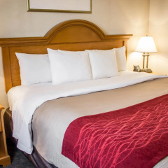 Отель Comfort Inn JFK Airport США, Нью-Йорк - 1 отзыв об отеле, цены и фото номеров - забронировать отель Comfort Inn JFK Airport онлайн комната для гостей фото 2