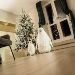 Отель Casamia Suite Ареццо помещение для мероприятий