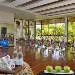 Отель Paradisus Punta Cana Resort - Все включено Доминикана, Пунта Кана - отзывы, цены и фото номеров - забронировать отель Paradisus Punta Cana Resort - Все включено онлайн фитнесс-зал