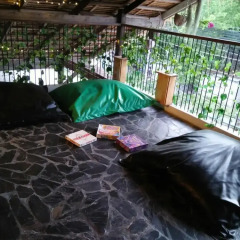 Отель Gecko Republic Jungle Hostel Таиланд, Остров Тау - отзывы, цены и фото номеров - забронировать отель Gecko Republic Jungle Hostel онлайн детские мероприятия