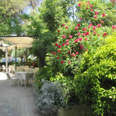 Hotel Stella фото 10