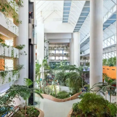 Отель Melia Benidorm Испания, Ринкон-де-Лойкс - отзывы, цены и фото номеров - забронировать отель Melia Benidorm онлайн фото 2