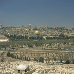 ibis Styles Jerusalem City Center Hotel Израиль, Иерусалим - отзывы, цены и фото номеров - забронировать отель ibis Styles Jerusalem City Center Hotel онлайн