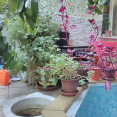 Lotus Garden Hostel Турция, Измир - отзывы, цены и фото номеров - забронировать отель Lotus Garden Hostel онлайн бассейн фото 3