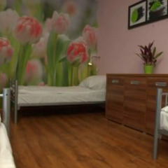 Hostel Krokodyl Варшава комната для гостей фото 9