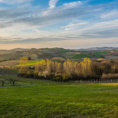 Отель B&B La Casa nel Vento Италия, Виньяле-Монферрато - отзывы, цены и фото номеров - забронировать отель B&B La Casa nel Vento онлайн фото 8