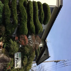 Отель Ryokan Tatsumi Хидзи развлечения