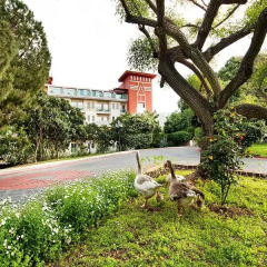 Belconti Resort Hotel - All Inclusive фото 10