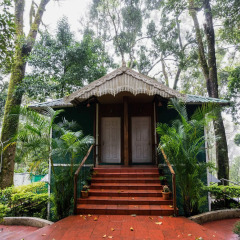 Отель Blue Bells Valley Resort-Munnar. сауна