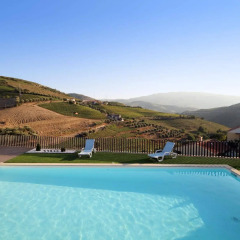 Отель Quinta da Pitarrela Португалия, Пезу-да-Регуа - отзывы, цены и фото номеров - забронировать отель Quinta da Pitarrela онлайн бассейн фото 2