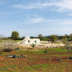 Отель Trulli Fenice Alberobello Италия, Альберобелло - отзывы, цены и фото номеров - забронировать отель Trulli Fenice Alberobello онлайн фото 3
