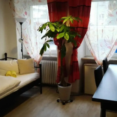 Отель Anger Apartment to share Германия, Нюрнберг - отзывы, цены и фото номеров - забронировать отель Anger Apartment to share онлайн спа