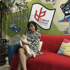 Bedbox Guesthouse & Hostel развлечения