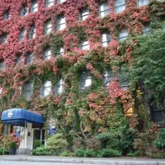 Отель The Sylvia Hotel Канада, Ванкувер - отзывы, цены и фото номеров - забронировать отель The Sylvia Hotel онлайн