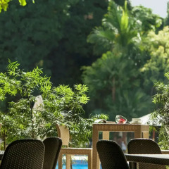Отель Pullman Kinshasa Grand Hotel Республика Конго, Киншаса - отзывы, цены и фото номеров - забронировать отель Pullman Kinshasa Grand Hotel онлайн фото 6