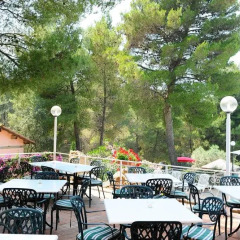 Отель Camping Le Pianacce Кастаньето-Кардуччи питание фото 3