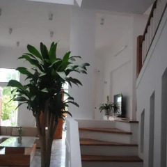 Отель Hoi An Milestone интерьер отеля