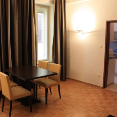 Отель Appartments in der Josefstadt Австрия, Вена - отзывы, цены и фото номеров - забронировать отель Appartments in der Josefstadt онлайн удобства в номере